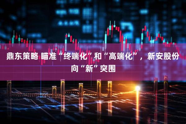 鼎东策略 瞄准“终端化”和“高端化”，新安股份向“新”突围