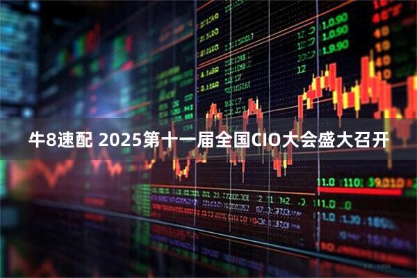 牛8速配 2025第十一届全国CIO大会盛大召开