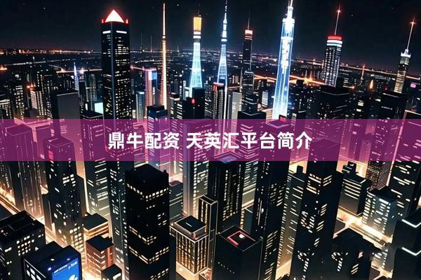 鼎牛配资 天英汇平台简介