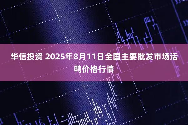 华信投资 2025年8月11日全国主要批发市场活鸭价格行情
