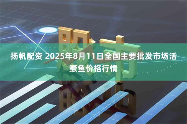扬帆配资 2025年8月11日全国主要批发市场活鳜鱼价格行情