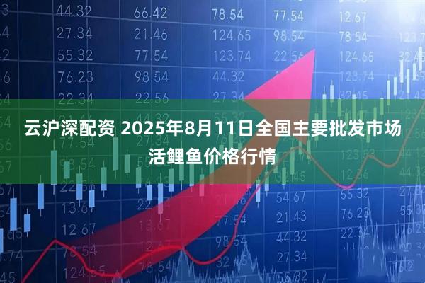 云沪深配资 2025年8月11日全国主要批发市场活鲤鱼价格行情