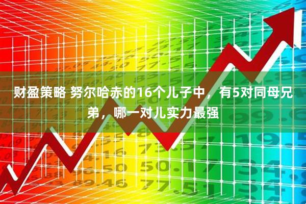 财盈策略 努尔哈赤的16个儿子中，有5对同母兄弟，哪一对儿实力最强