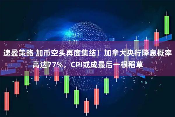速盈策略 加币空头再度集结！加拿大央行降息概率高达77%，CPI或成最后一根稻草