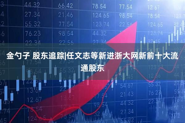 金勺子 股东追踪|任文志等新进浙大网新前十大流通股东