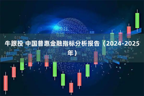 牛跟投 中国普惠金融指标分析报告（2024-2025年）