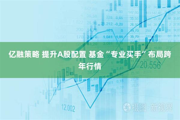 亿融策略 提升A股配置 基金“专业买手”布局跨年行情